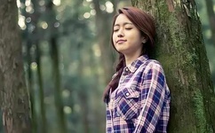 内衣办公室未增删樱花翻译